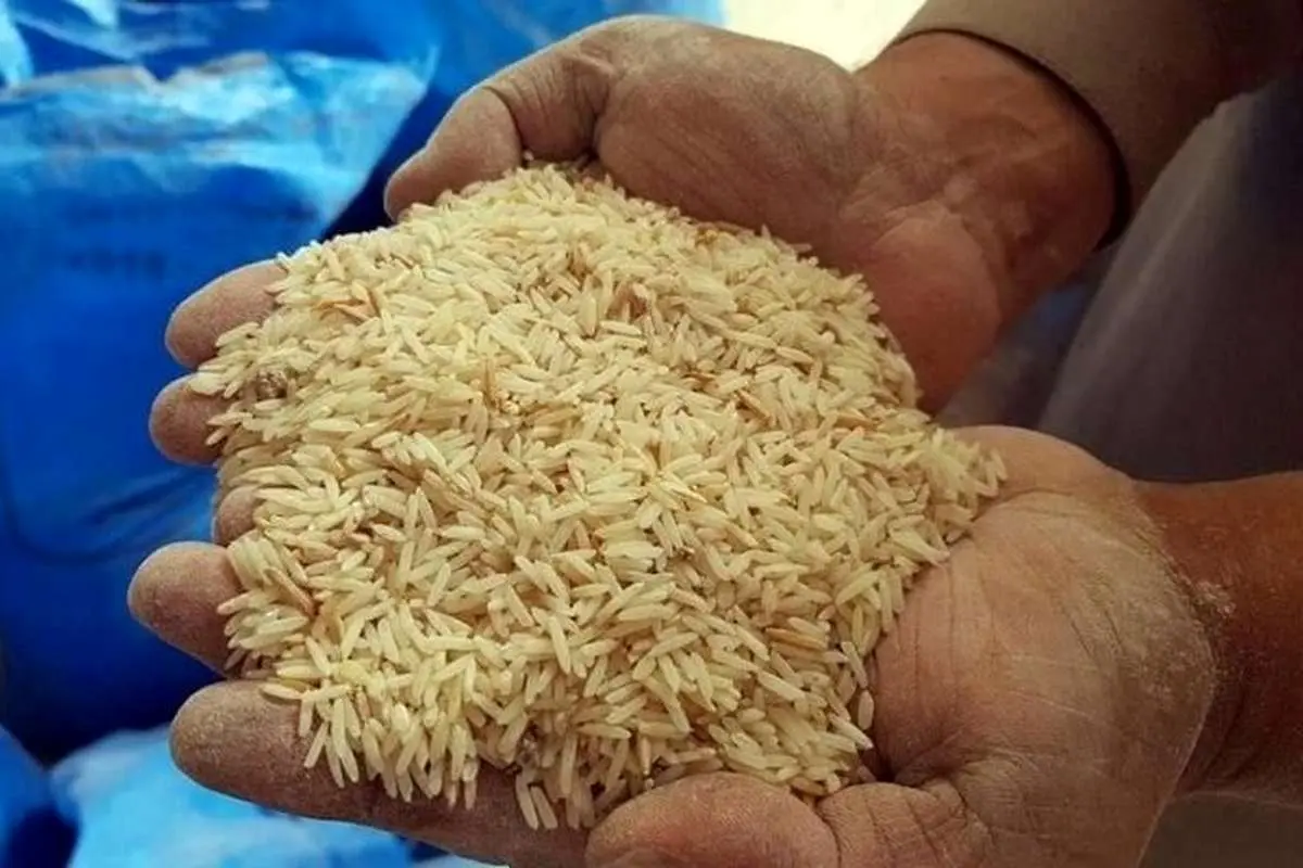 ۵۳ تن برنج و شکر تقلبی در پایتخت کشف شد