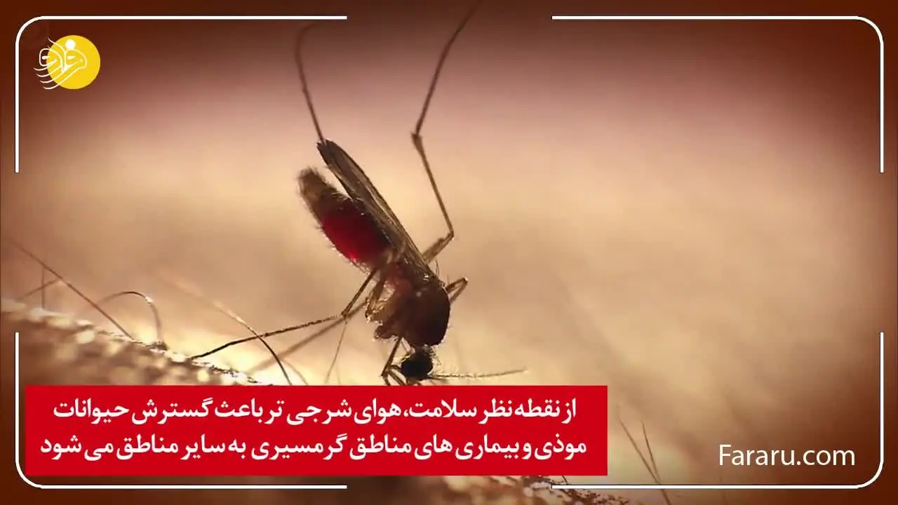 (ویدئو) چگونه از تغییرات اقلیمی پول درآوریم؟!