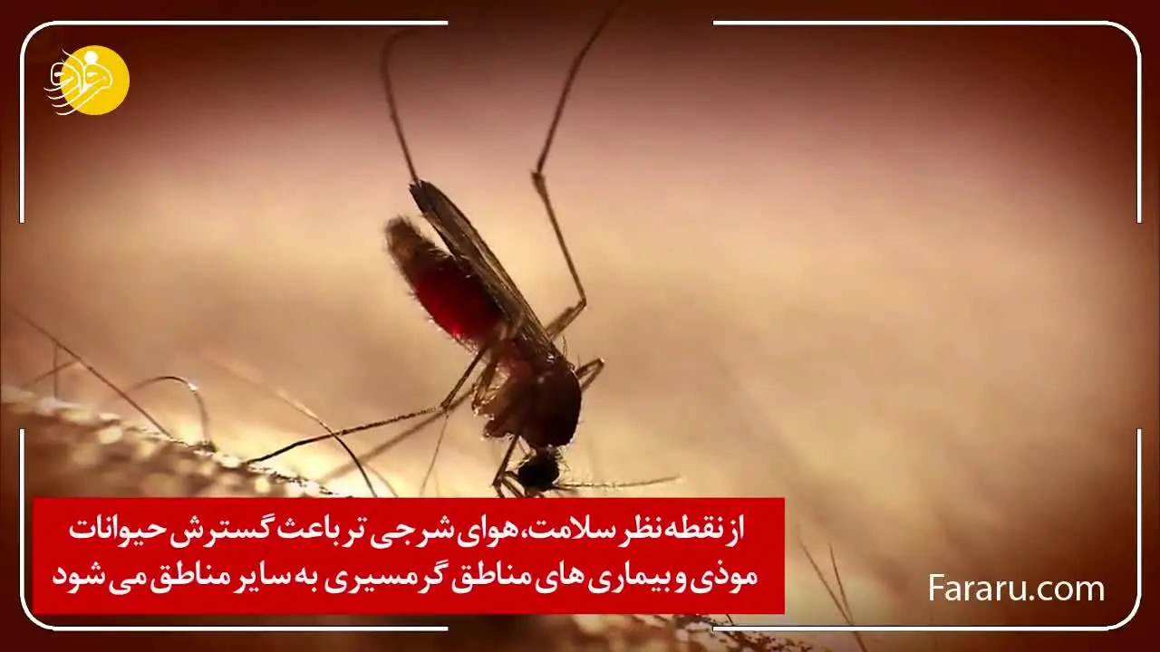 (ویدئو) چگونه از تغییرات اقلیمی پول درآوریم؟!
