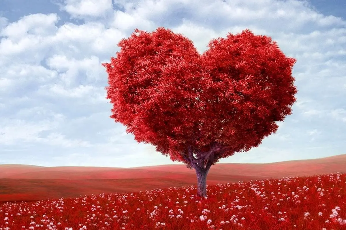 شعر عاشقانه؛ از اشعار شاملو تا شفیعی کدکنی