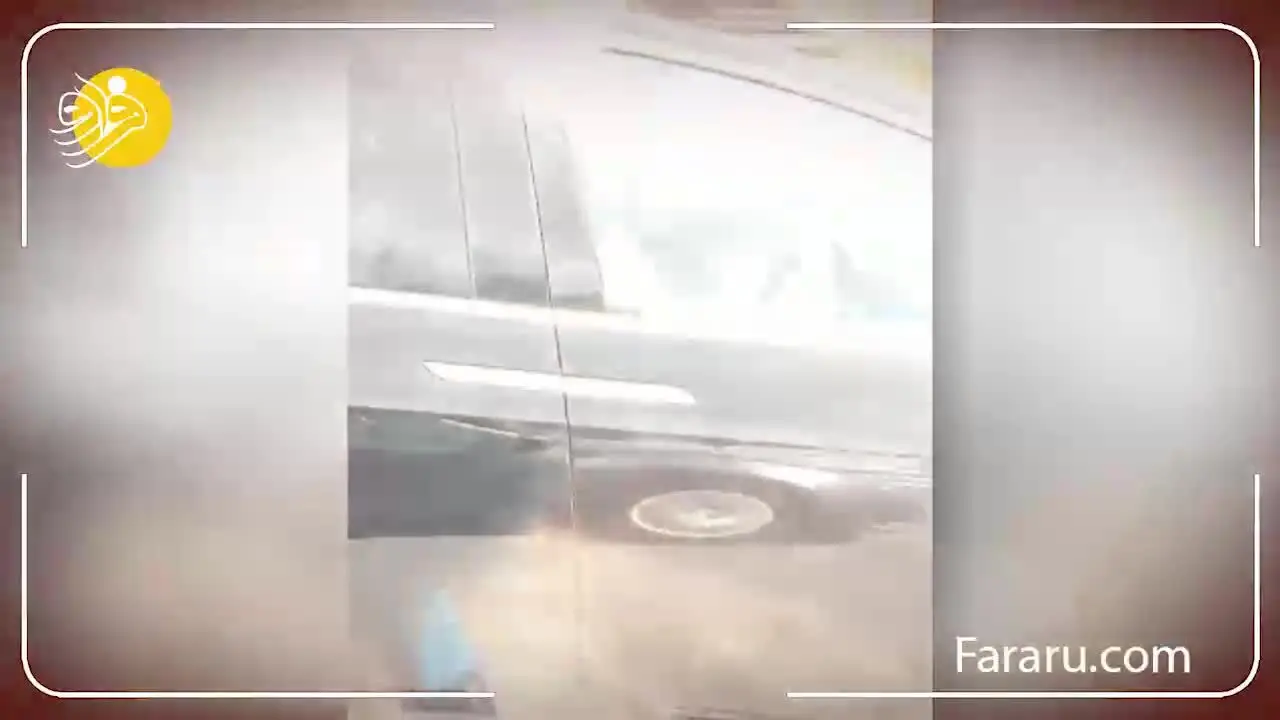 (وبدئو) تکنولوژی جالب تسلا جان راننده‌اش را نجات داد