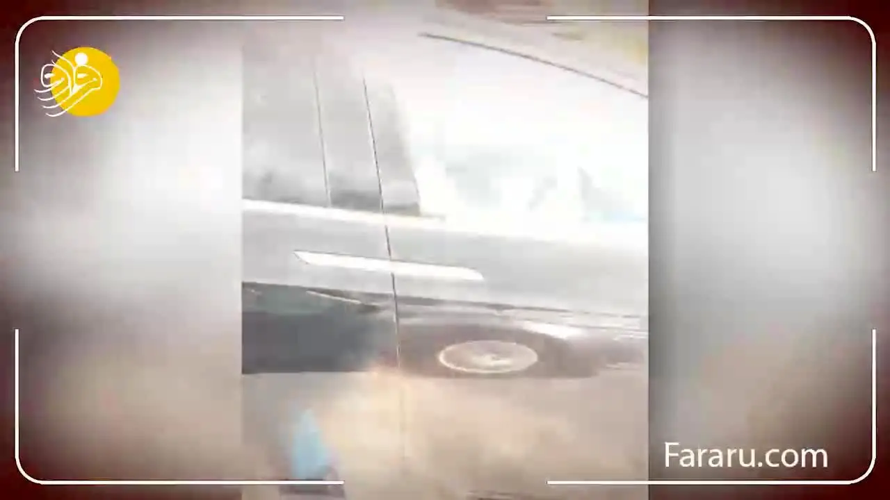 (وبدئو) تکنولوژی جالب تسلا جان راننده‌اش را نجات داد