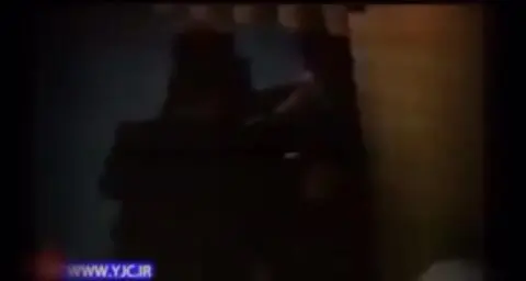 (ویدئو) حمله به علی اکبر ولایتی در حین سخنرانی