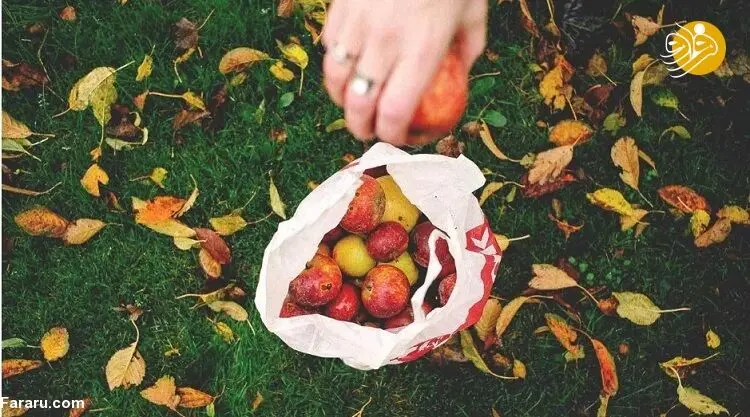 خواص شگفت انگیز ۴ میوه پاییزی