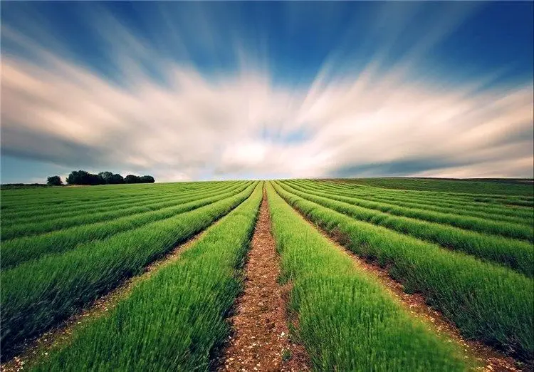 باد، باران و سرما در راه است