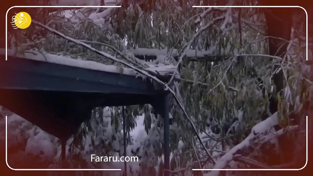 (ویدئو) بارش برف سنگین در آمریکا و غافگیری مردم