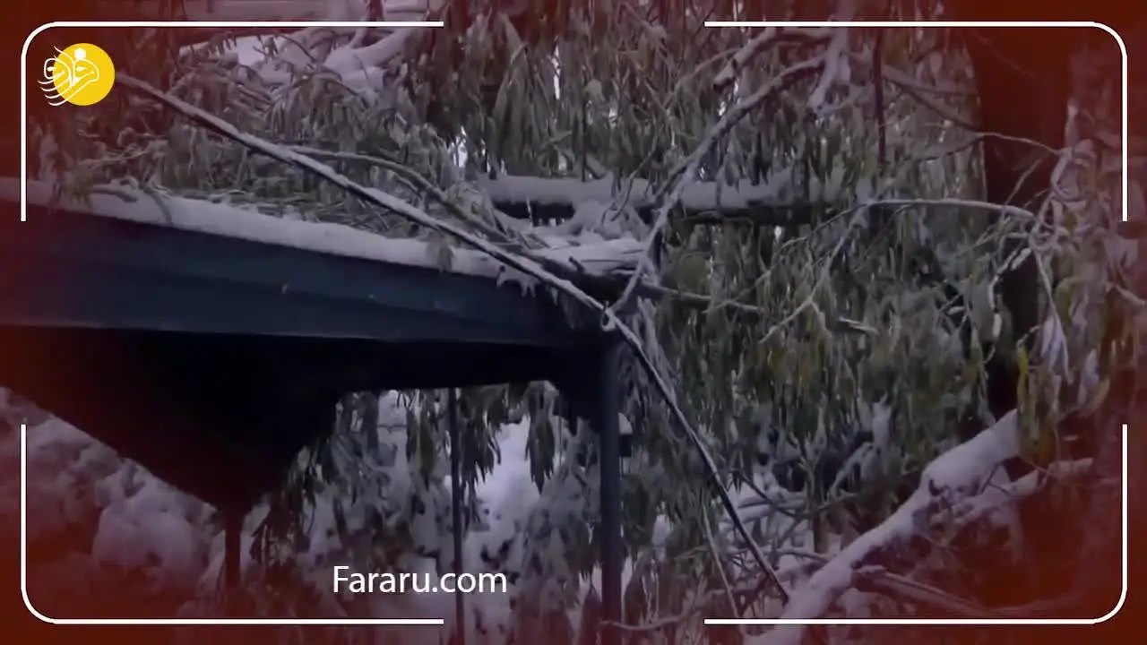 (ویدئو) بارش برف سنگین در آمریکا و غافگیری مردم