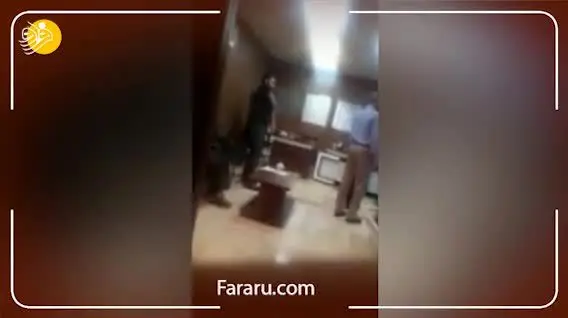 (ویدئو) موش در درفتر شهردار فردیس و تلاش برای گرفتن آن‌ها
