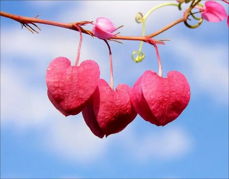 متن و شعر عاشقانه جدید و کوتاه؛ برای همسر، عشق و مخاطب خاص