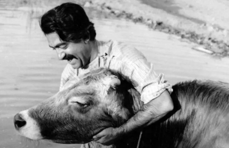 ماجرای سانسور فیلم «گاو»؛ آقای انتظامی، اسلام کسی رو نمی‌زنه!