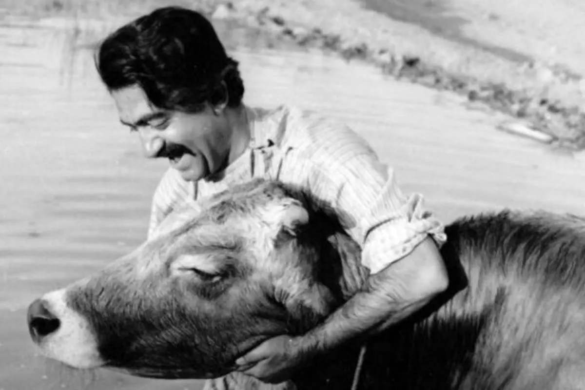 ماجرای سانسور فیلم «گاو»؛ آقای انتظامی، اسلام کسی رو نمیزنه!