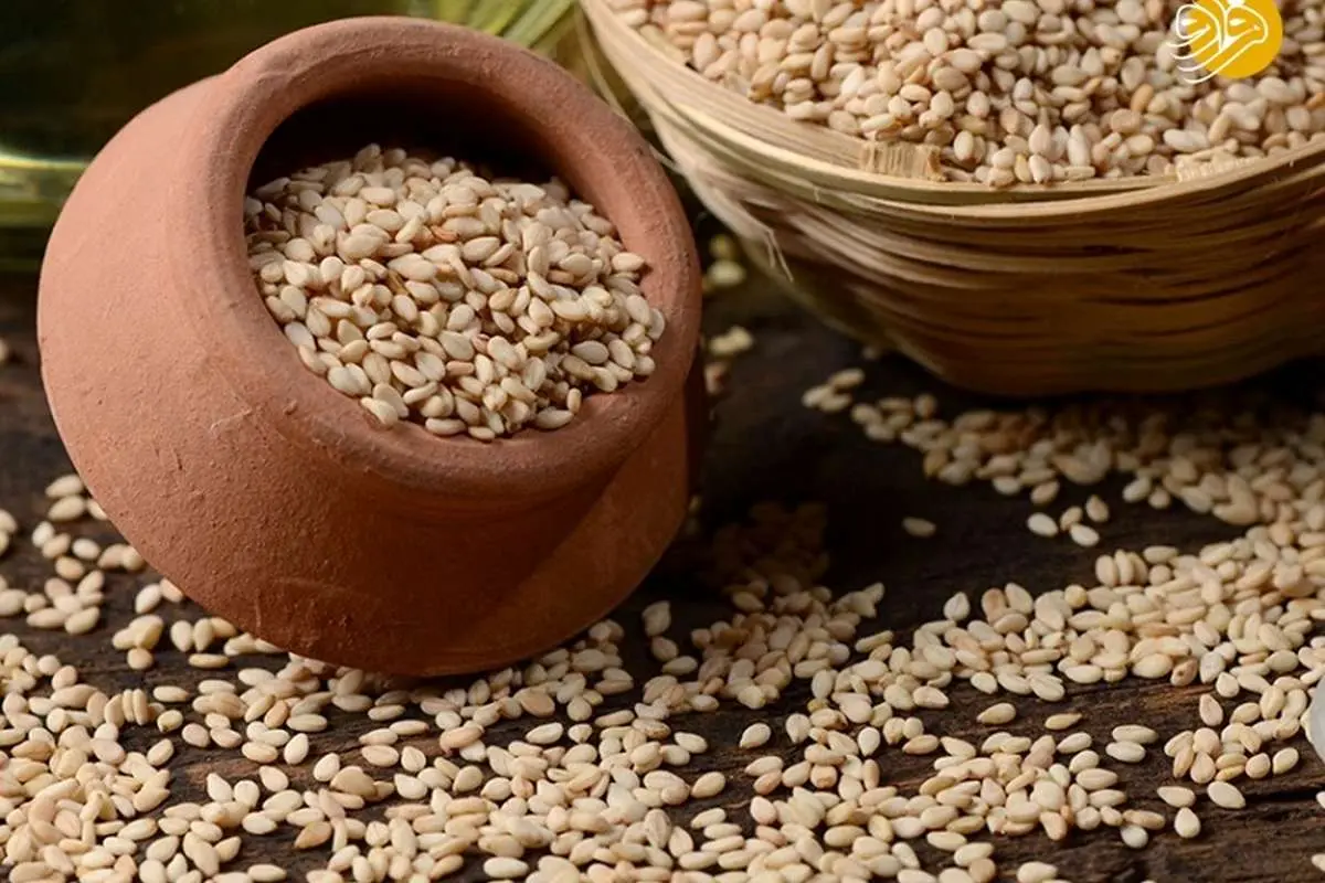 خواص کنجد از کمک به تنظیم هورمونی دوران یائسگی تا کاهش فشار خون