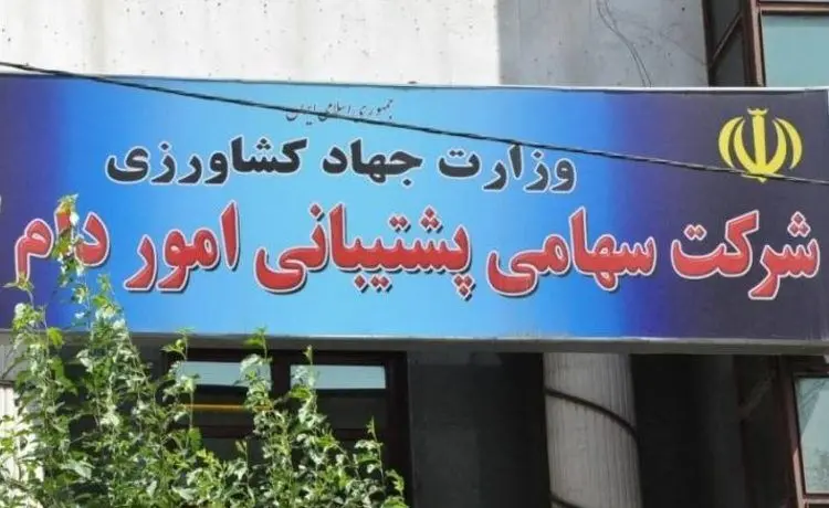 بازداشت مدیرعامل شرکت پشتیبانی امور دام