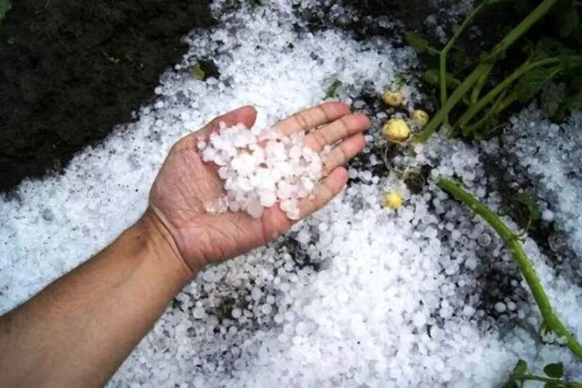 بارش عجیب تگرگ در کویر کاشان