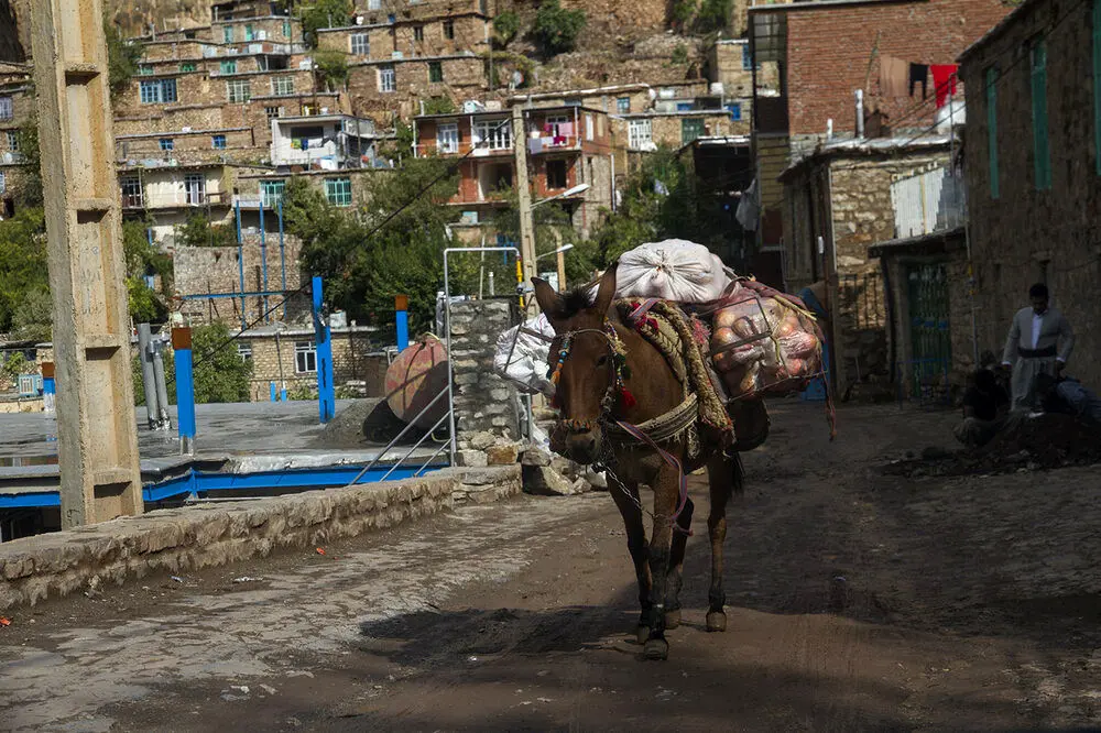 (تصاویر) یاقوت سرخ هورامان‎