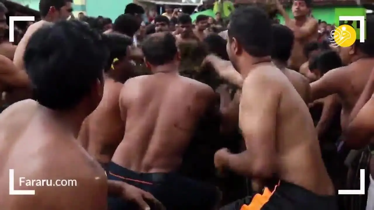 (ویدئو) جشنواره عجیب در هند؛ پرتاب مدفوع گاو به یکدیگر!