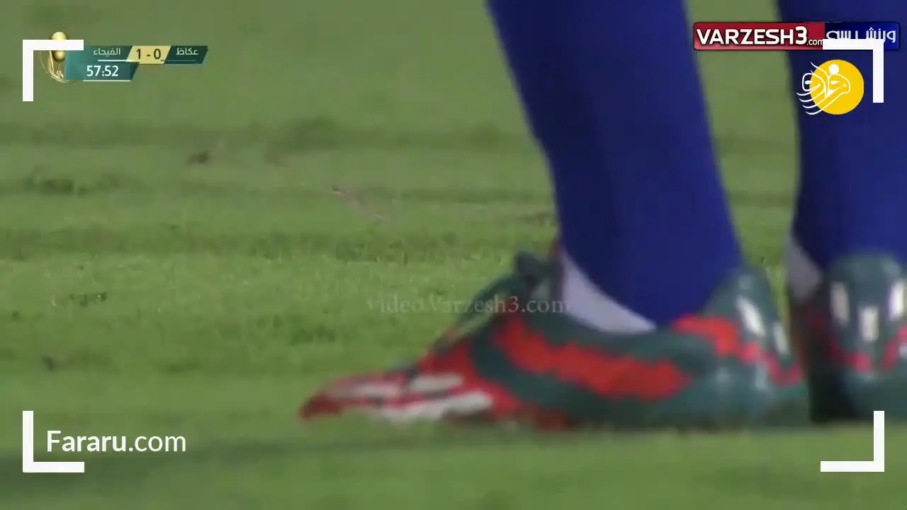 (ویدئو) ورود مار به زمین فوتبال!