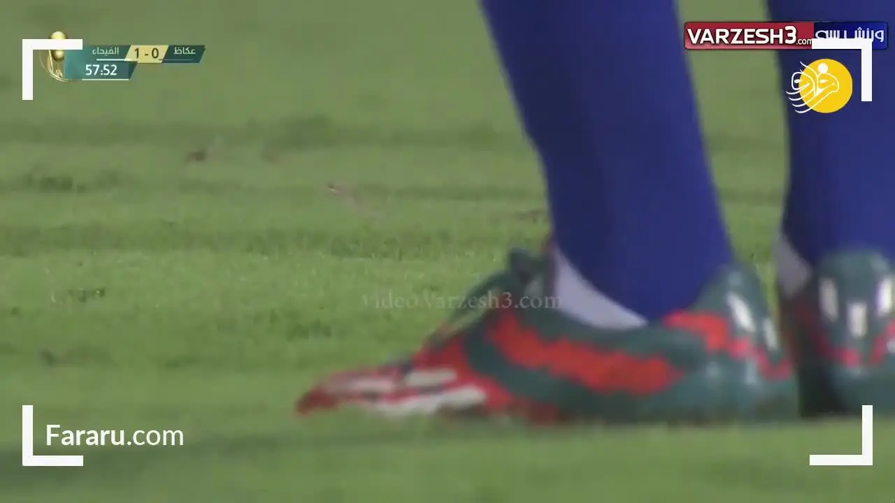(ویدئو) ورود مار به زمین فوتبال!