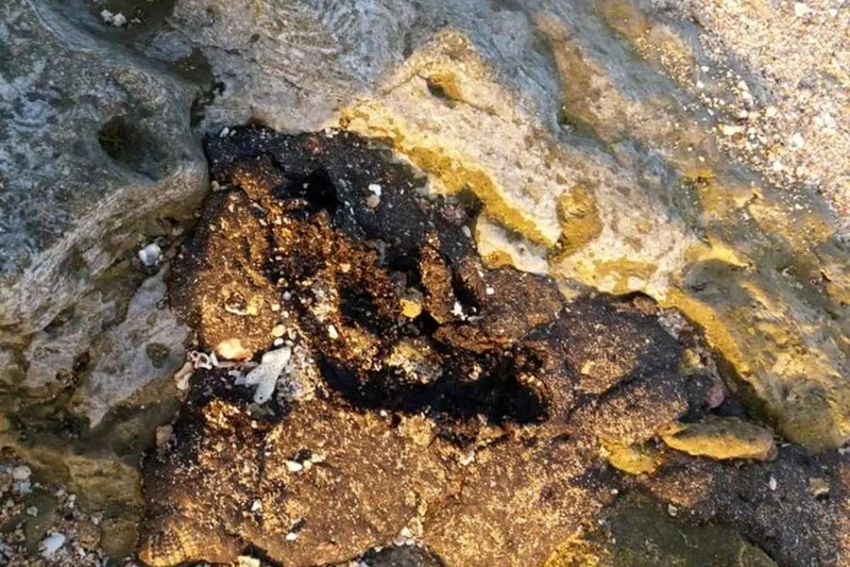 بازگشت آلودگیهای نفتی به سواحل قشم با منشاء نامعلوم