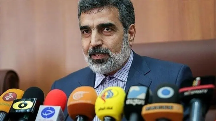 کمالوندی: شنبه در فردو به غنای ۴.۲ درصد می‌رسیم