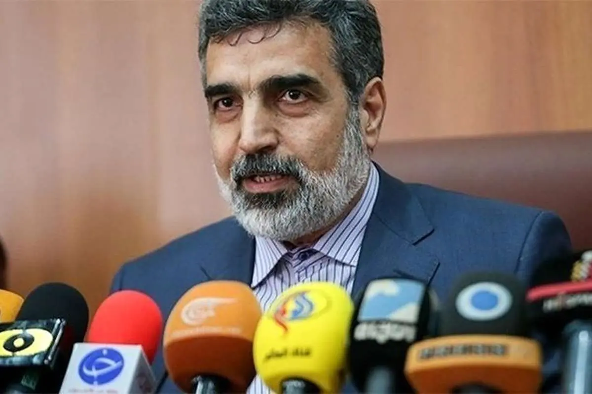 توضیح فنی کمالوندی درباره تزریق گاز به سانتریفیوژها در فردو