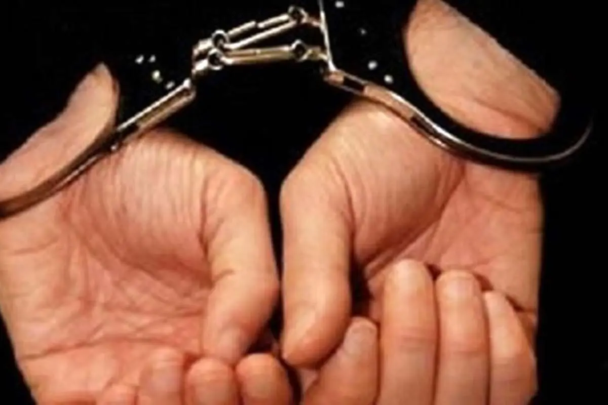 بازداشت پسر یکی از وزرای مستعفی دولت