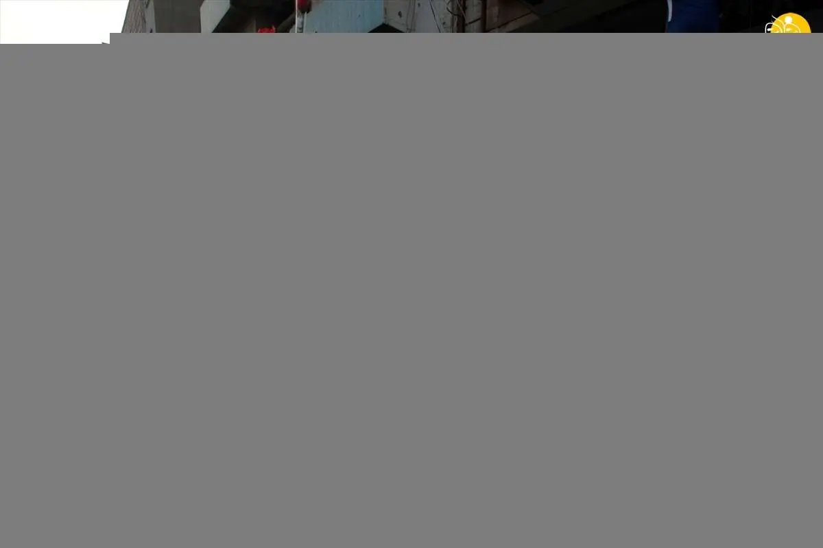 (تصاویر) شادی مردم عراق پس از اعلام استعفای عبدالمهدی