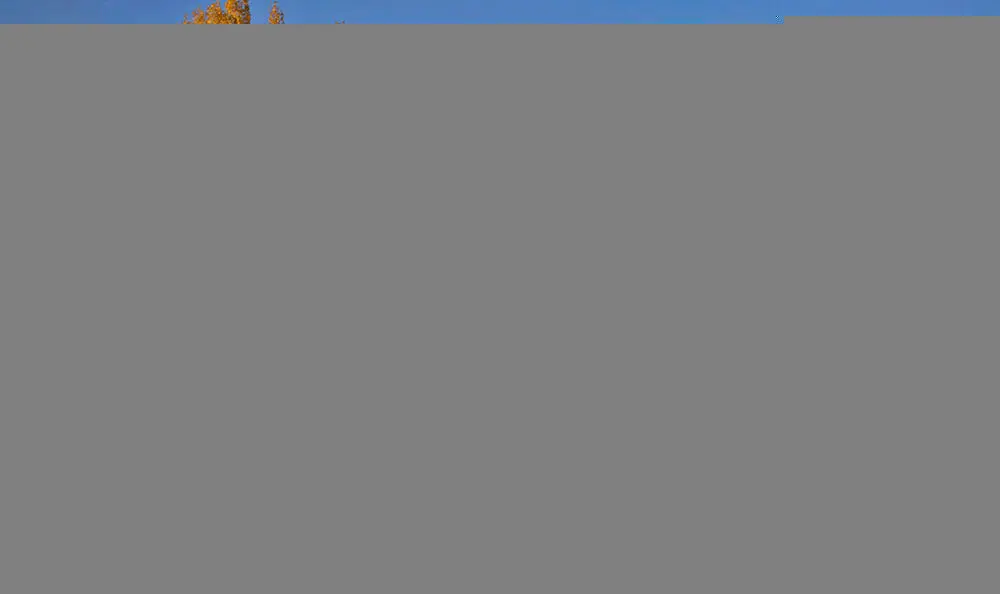 (تصاویر) طبیعت پاییزی در کوچه باغ‌های دانسفهان قزوین