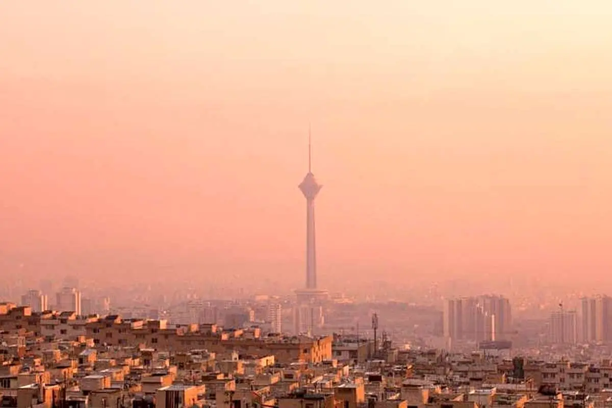 خوراکی های مفید برای مقابله با آلودگی هوا!