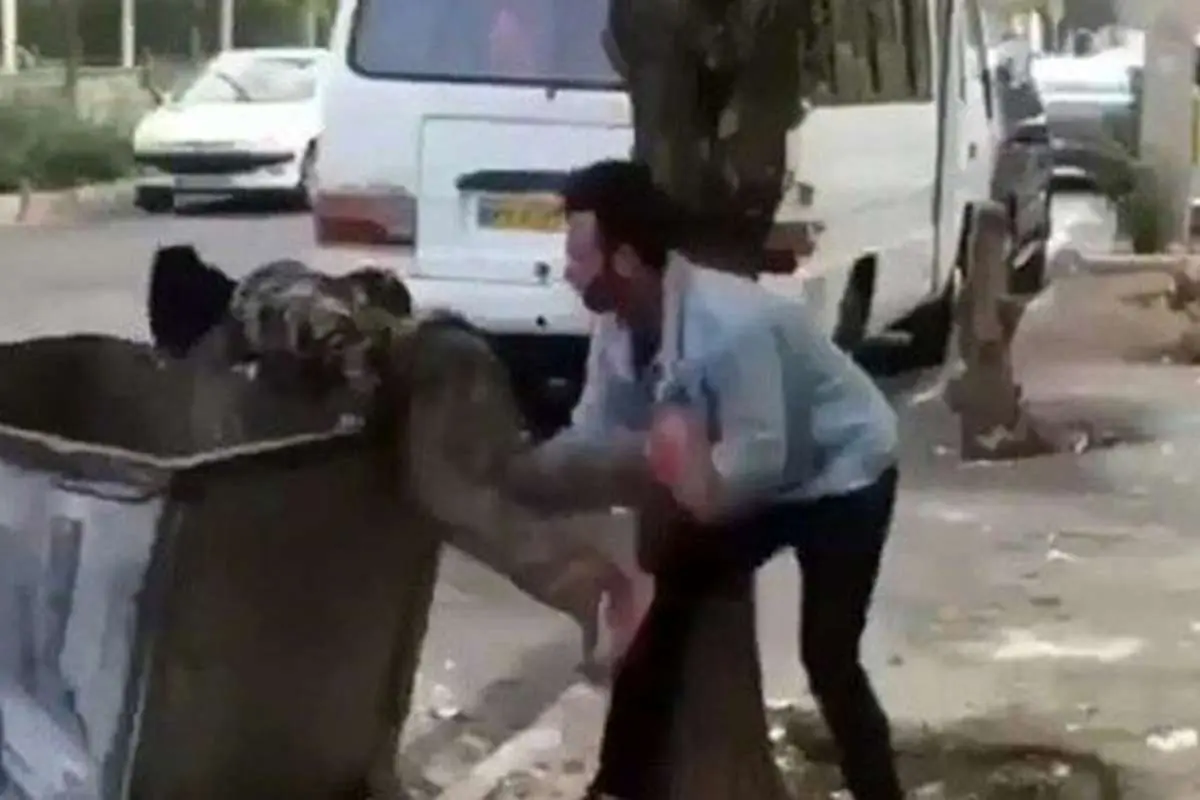 آزار کودک زبالهگرد و بازار داغ خودزنی جمعی