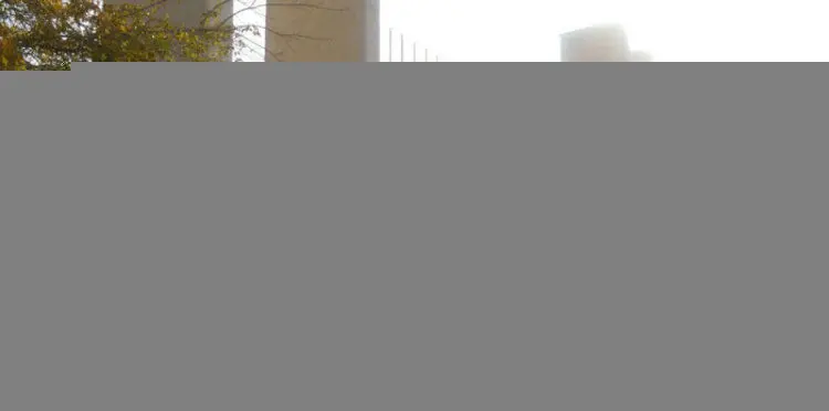 تکذیب تیراندازی در ورزشگاه آزادی