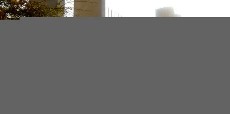 تکذیب تیراندازی در ورزشگاه آزادی