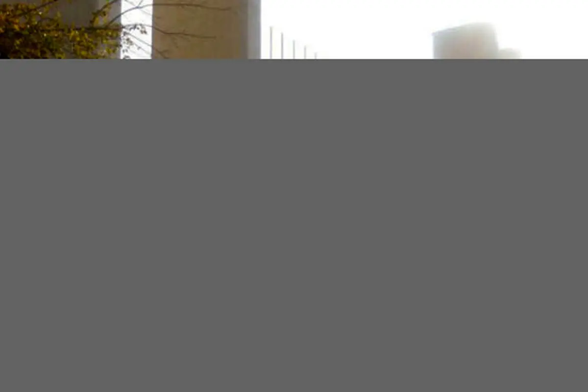 تکذیب تیراندازی در ورزشگاه آزادی