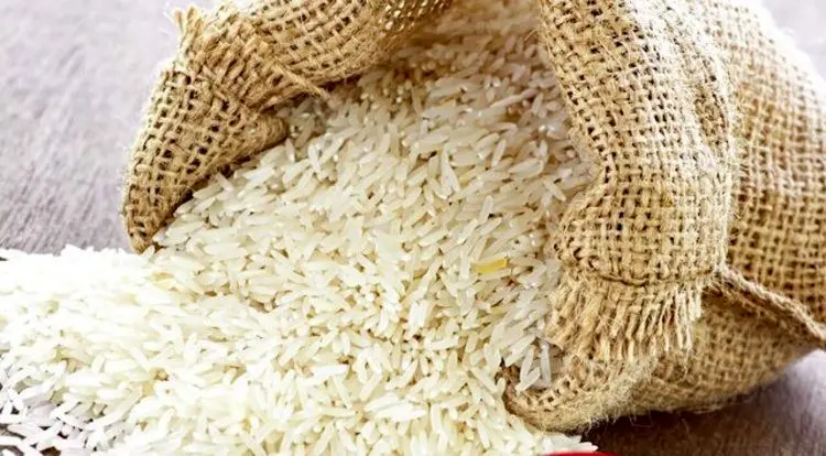 متهم پرونده برنج‌های آلوده پای میز محاکمه