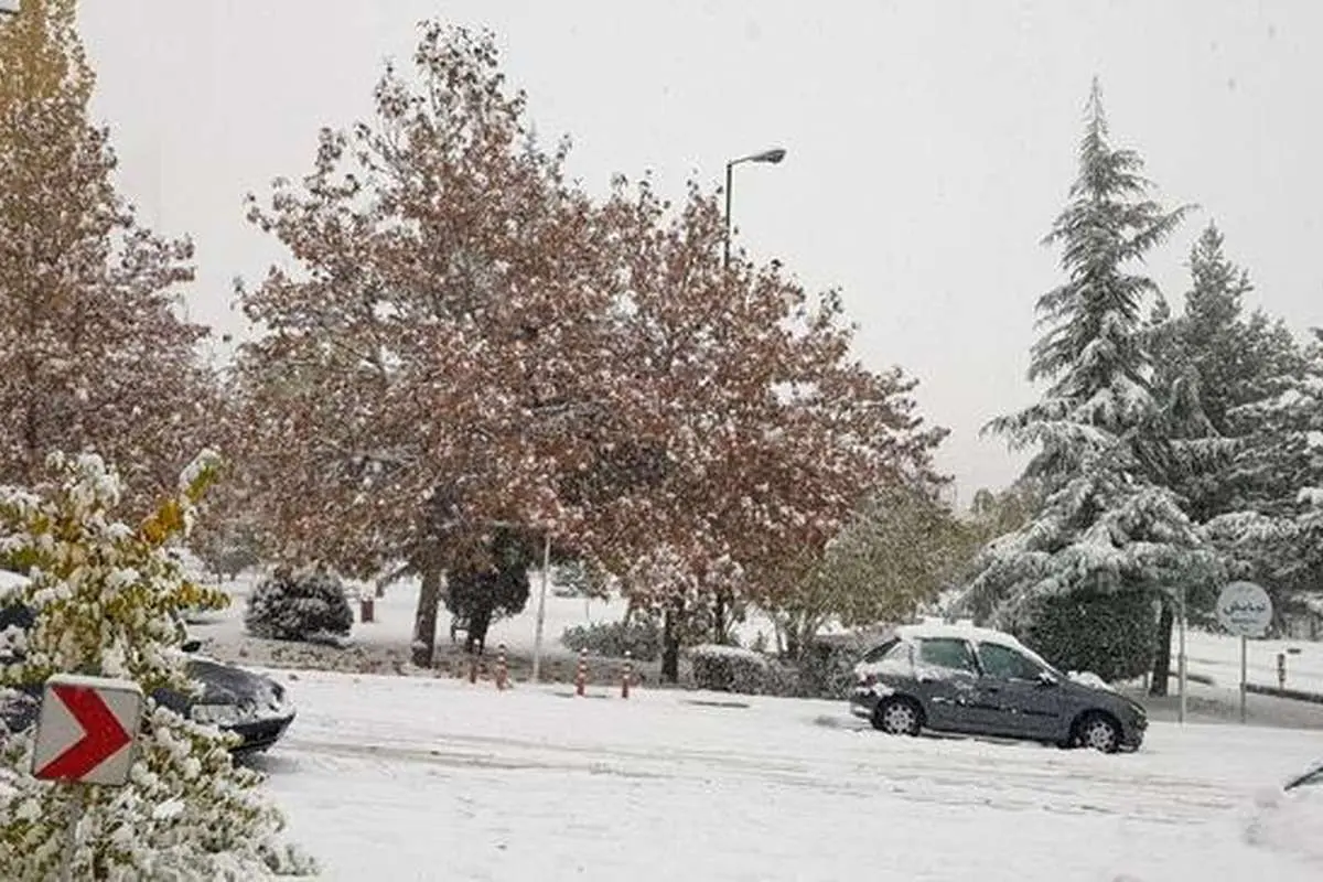 آخرین اخبار از بارش سنگین برف در تهران