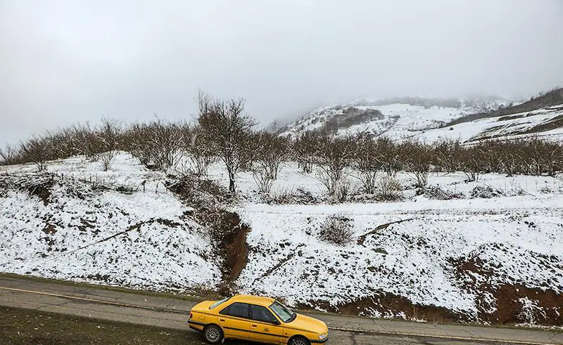 (تصاویر) نخستین برف پاییزی در ییلاقات گیلان