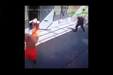 (ویدئو) گروگان گرفتن نگهبان توسط زندانیان در برزیل