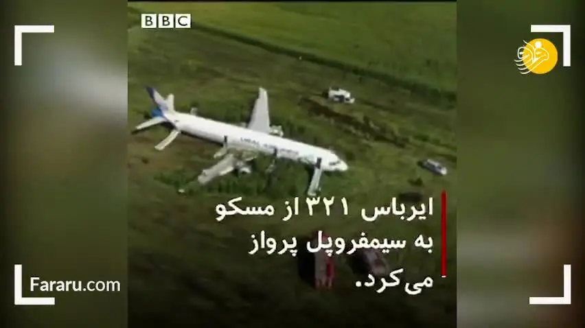(ویدئو) برخورد هواپیما به دسته پرنده و سقوط آن