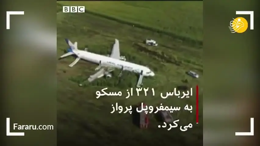 (ویدئو) برخورد هواپیما به دسته پرنده و سقوط آن