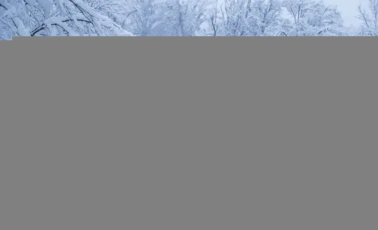 بارش برف و باران در اکثر محور‌های مواصلاتی کشور