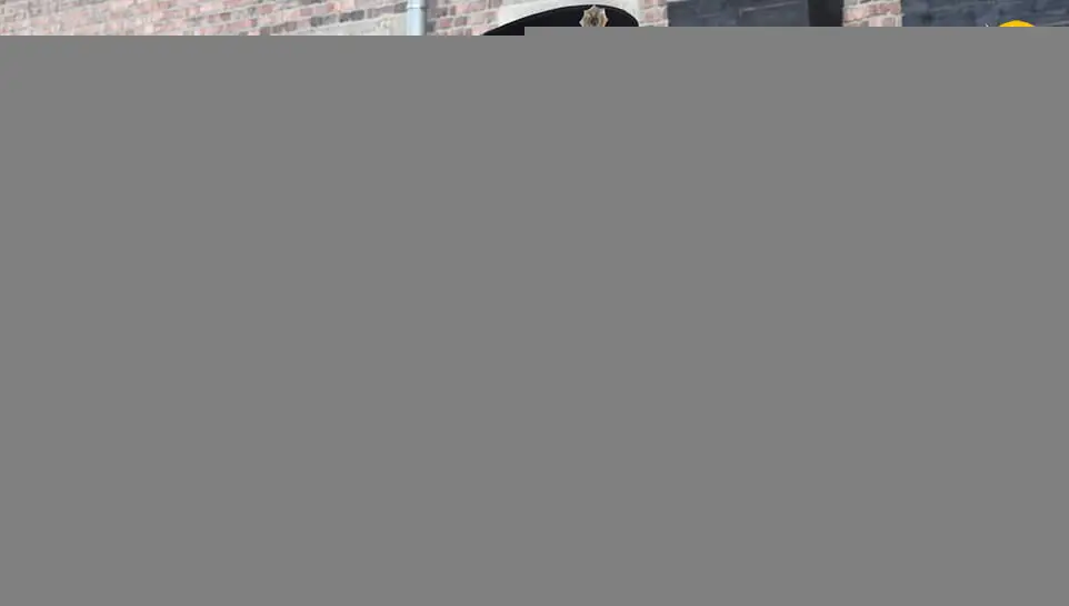 (تصاویر) نخستین حضور آنگلا مرکل در اردوگاه آشویتس