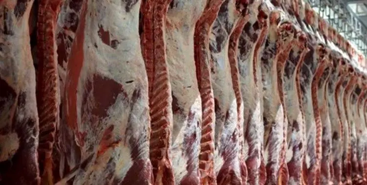 هشدار؛ موج دوم گرانی گوشت در راه است؟