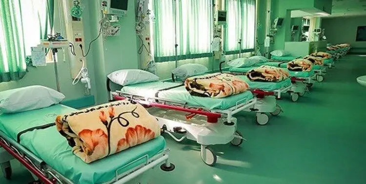 مرگ ۱۲ نفر بر اثر آنفولانزا در گلستان