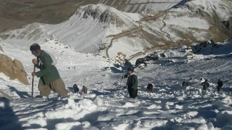 (ویدئو) داستان دردناک پدر و مادر فرهاد و آزاد از کولبری و مرگ فرزندانشان