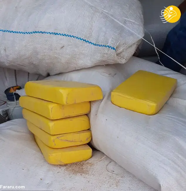 (تصویر) کشف بزرگترین محموله موادمخدر در اروگوئه