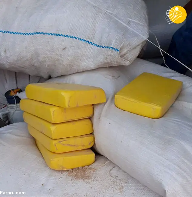(تصویر) کشف بزرگترین محموله موادمخدر در اروگوئه
