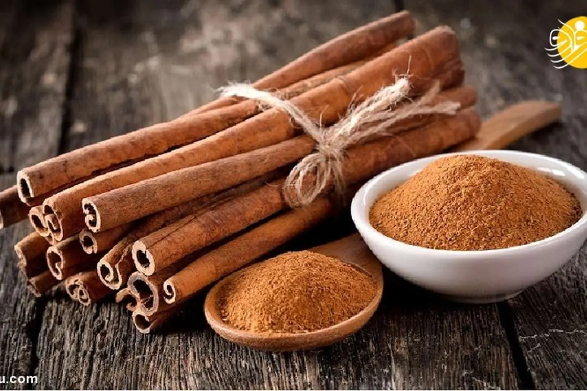دارچین و ۱۰ خاصیت شگفت انگیز؛ از کاهش سرطان تا مقابله با ایدز