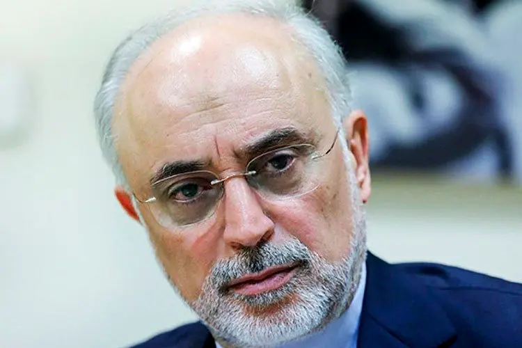 صالحی: دیگر گامی برای کاهش تعهدات برجامی باقی نمانده است/ بازی دارد به جا‌های خطرناک می‌رسد