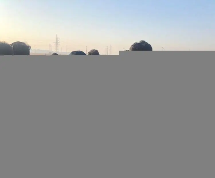 مرگ دختر و داماد مدیر عامل اسبق همراه اول در سانحه هوایی اوکراین