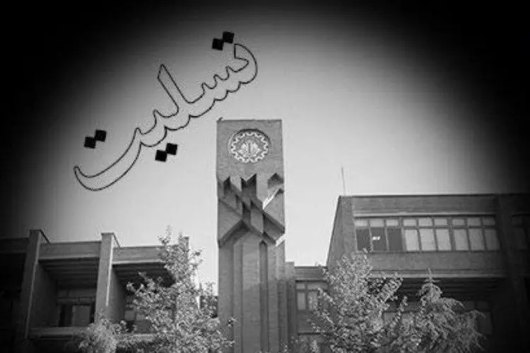 ماه عسل به مقصد مرگ؛ تازه عروس و داماد در میان جانباختگان سقوط هواپیما